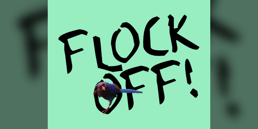 Cover image for FLOCK OFF! A Bird Revolution Rogue-lite