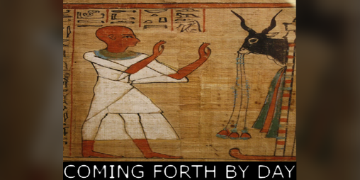 Cover image for Coming Forth by Day