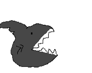Shark Attack