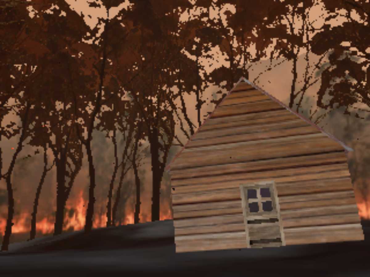 Cover image for THE FIRE