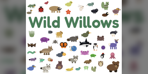 Cover image for Wild Willows