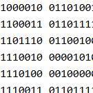 Binary Code Randomizer (BCR)