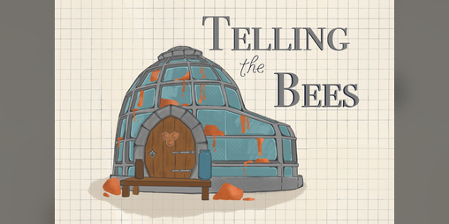 Cover image for Telling the Bees