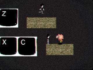Controls