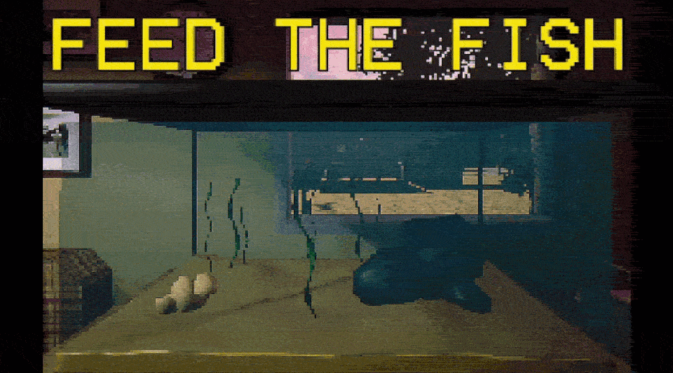 FEED THE FISH