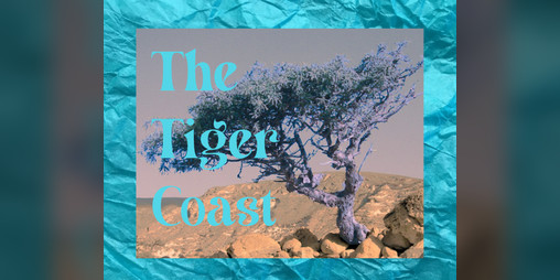 Cover image for The Tiger Coast