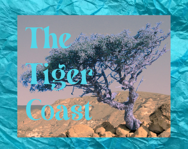 Cover image for The Tiger Coast