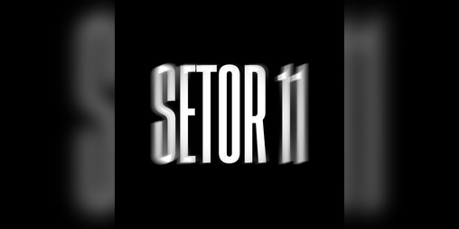 Cover image for SETOR 11