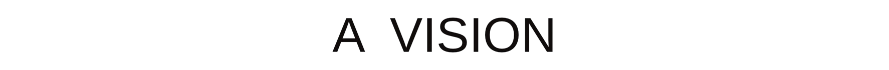 A VISION