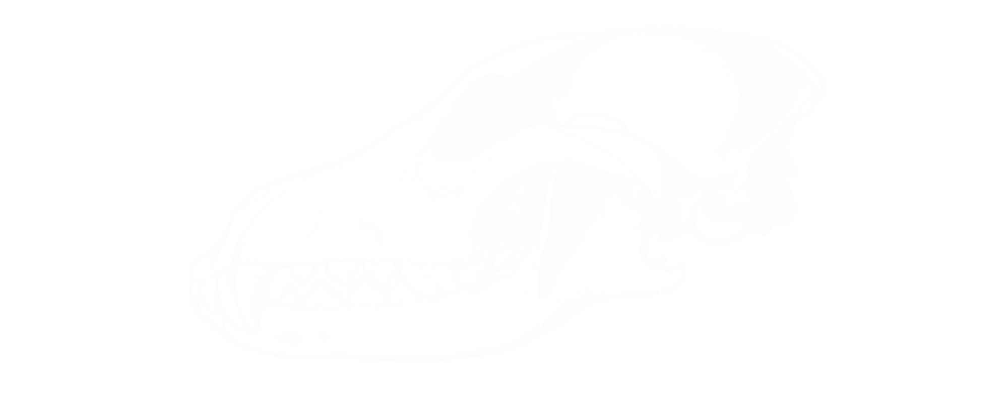 Chasing Tail