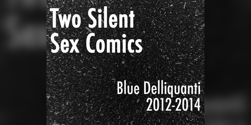 Cover image for Two Silent Sex Comics
