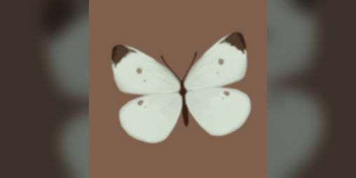 Cover image for Butterfly words