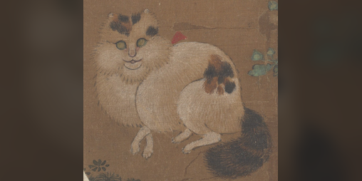 Cover image for The Artist's Choice