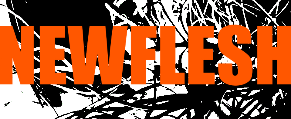 NEWFLESH