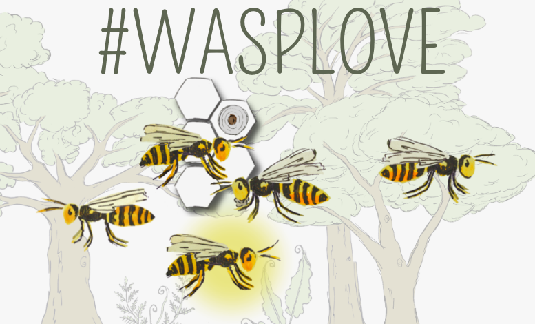 Cover image for The #wasplove game