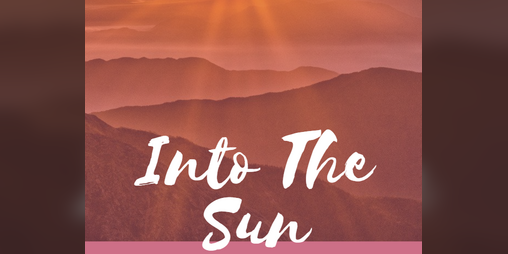 Cover image for Into the Sun