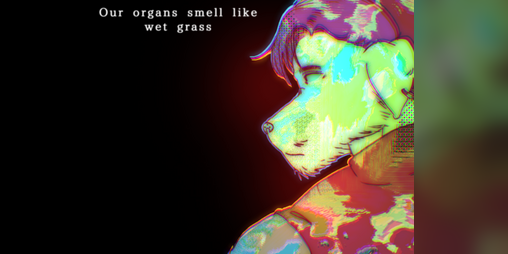 Cover image for Organs and Wet Grass