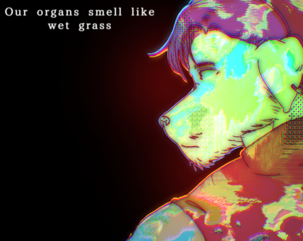 Cover image for Organs and Wet Grass