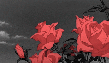 Cover image for The Flower Garden