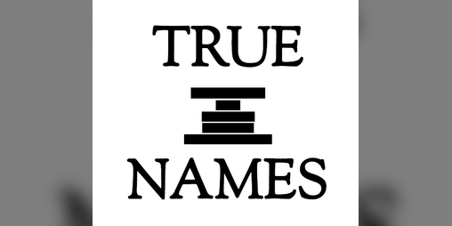 Cover image for TRUE NAMES