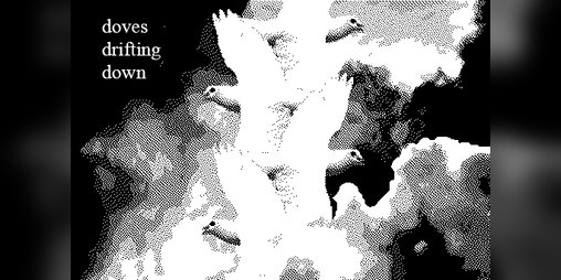 Cover image for doves drifting down