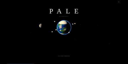 Cover image for PALE