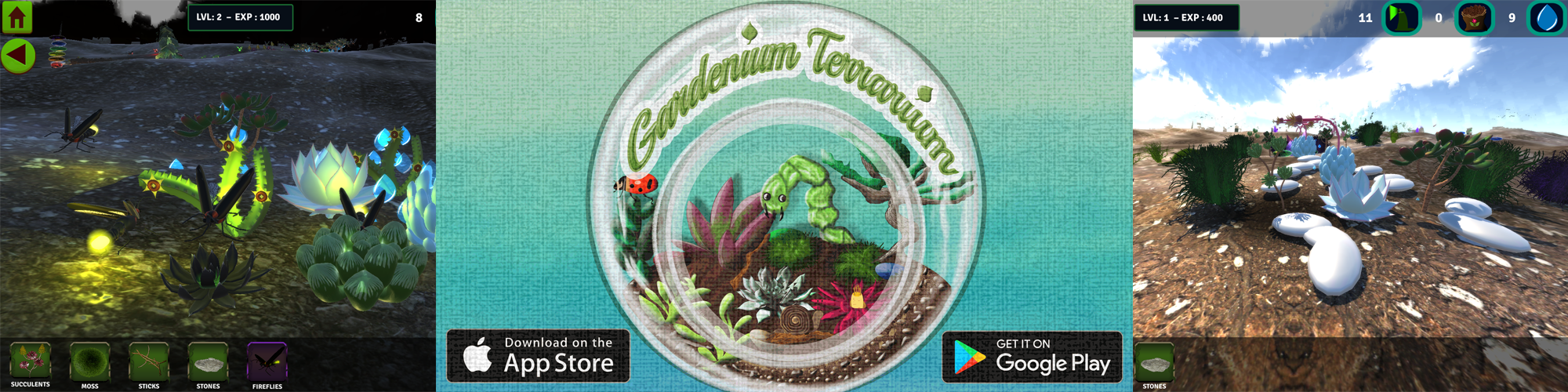 Gardenium Terrarium