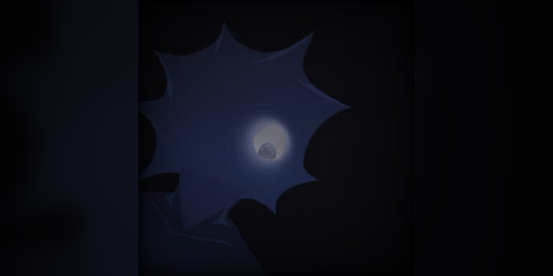 Cover image for Between The Forest