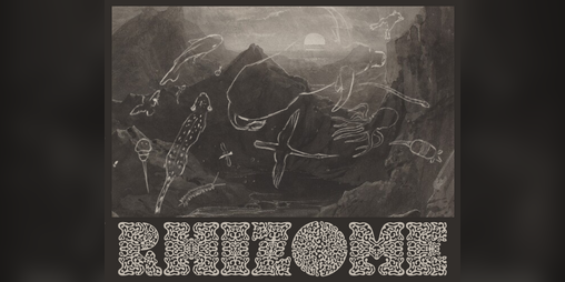 Cover image for Rhizome