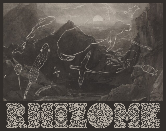 Cover image for Rhizome