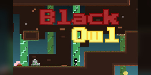 Cover image for Black Owl