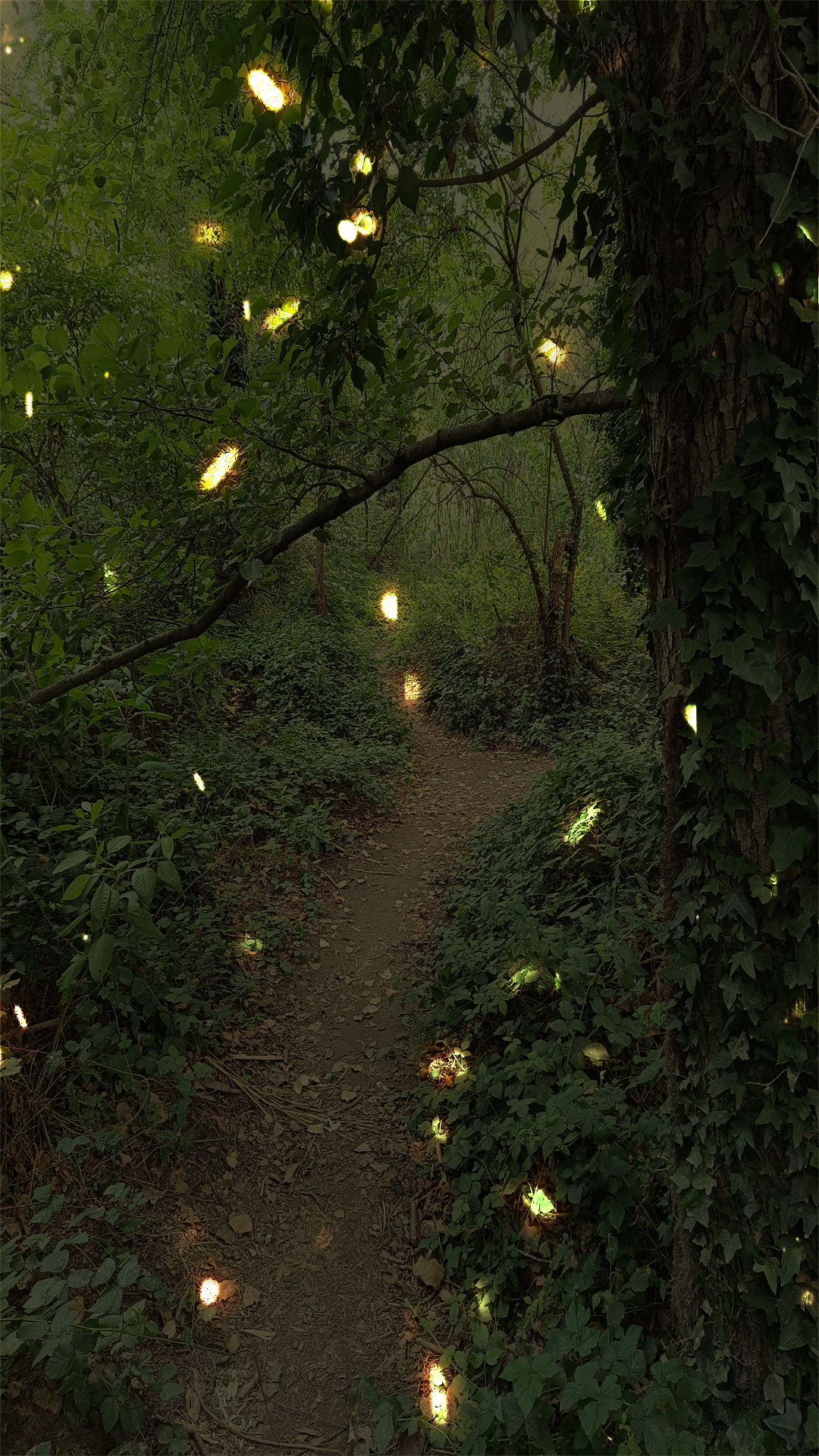 Fantastic/Mysterious/Evil Forest Fantastic/Mysterious/Evil Forest