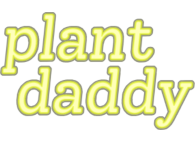 plant daddy