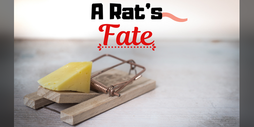 Cover image for A Rat's Fate