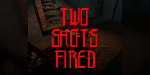 Cover image for TWO SHOTS FIRED