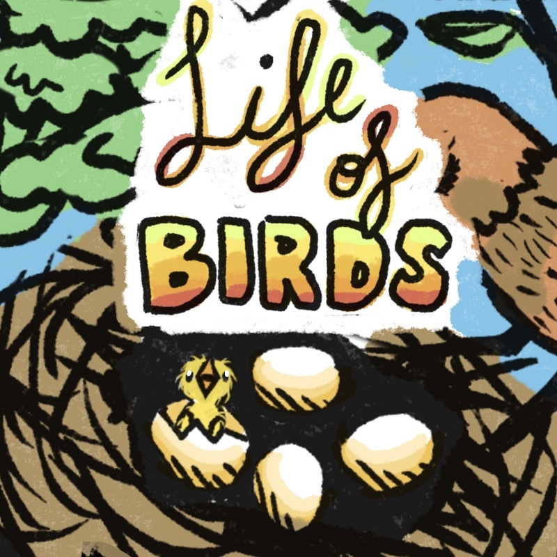 Cover image for Life of Birds (One Page Solo RPG)