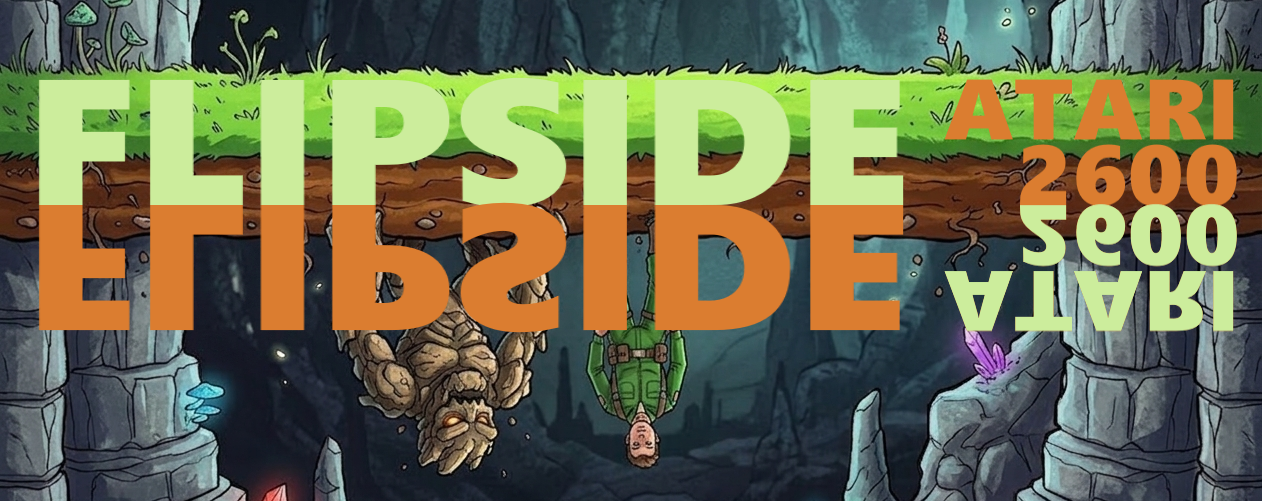 FLIPSIDE