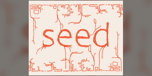 Cover image for Seed