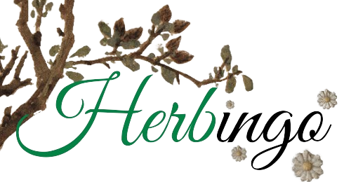 Herbingo