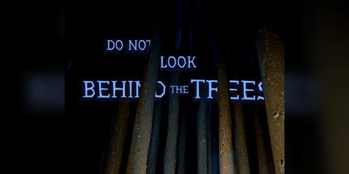Cover image for Do Not Look Behind The Trees