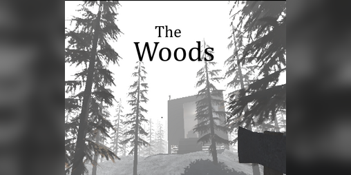 Cover image for The Woods