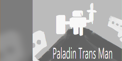 Cover image for Paladin Trans Man