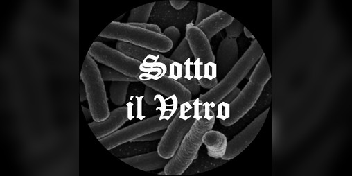 Cover image for Sotto il Vetro