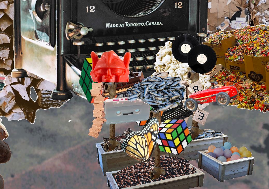 Cover image for The Trash Garden