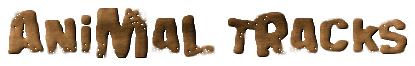Animal Tracks