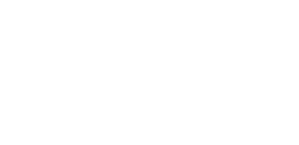 Plane Stupid