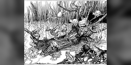 Cover image for Beware the Wild Rushes