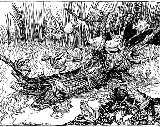 Cover image for Beware the Wild Rushes