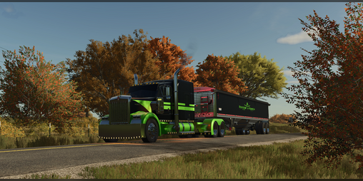 Cover image for Kenworth W900L