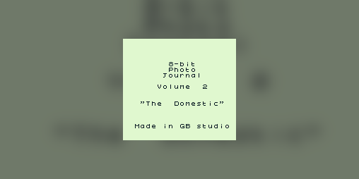 Cover image for 8-bit Photographic Journal vol.2